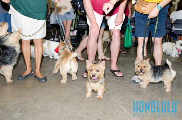 40280 Hnlmagpetexpo2014hnlmagkbp 4688
