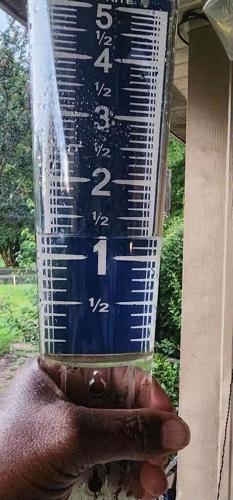 EDNA GOSSETT, WEATHER WATCHER.jpg