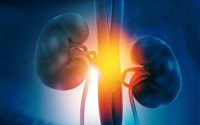 Los medicamentos GLP-1 pueden hacer maravillas para la salud renal