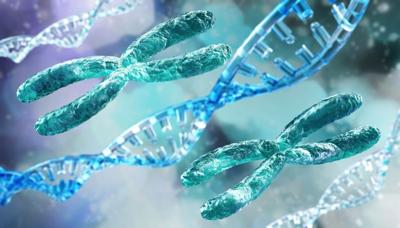 Demasiadas sobrevivientes de cáncer de mama no se someten a las pruebas de detección genética