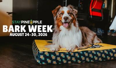 From August 24-30, 2026, Staypineapple will celebrate Bark Week, a weeklong celebration highlighting its love of dogs while giving back to animals in need.