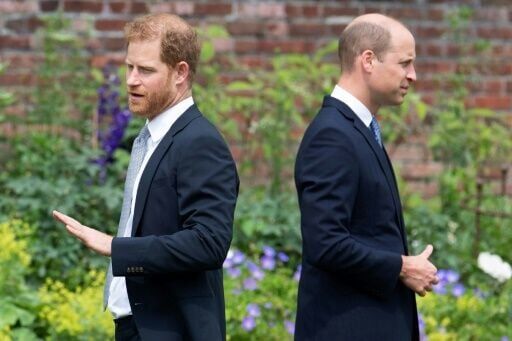 Harry and his older brother heir to the throne Prince William have been estranged for several years