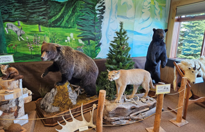 Summit Nature Center