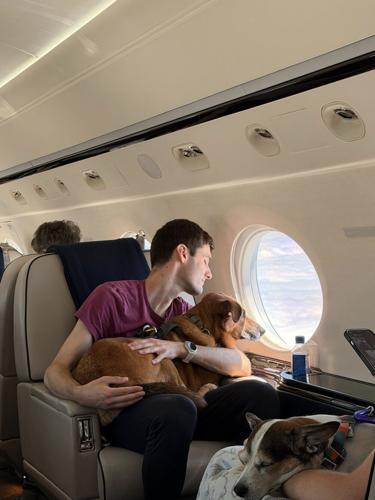 Vicuna Air passengers, both two- and four-legged, enjoy the view together from the cabin. Vicuna Waypoints will extend the same pet-first approach to the journey before departure and after landing.