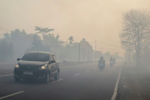 Indonesia lost some 200,000 hectares of land to wildfires in the first half of the year