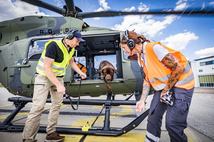 Rescue dogs overcome fear of helicopters during vital training