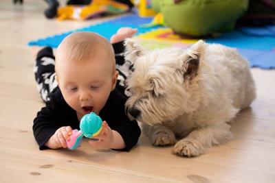 Fido podría proteger a tu bebé del eccema