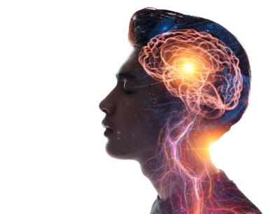 La ciencia revela los efectos alteradores de la mente de la sustancia química del 'hongo alucinógeno'