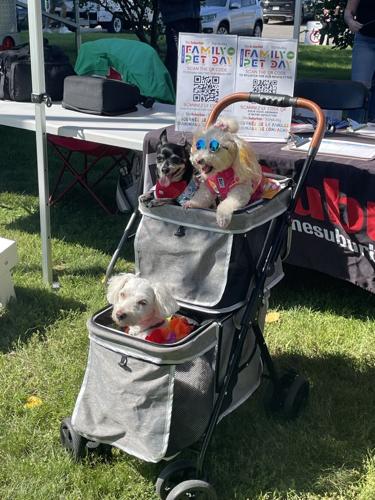 family day