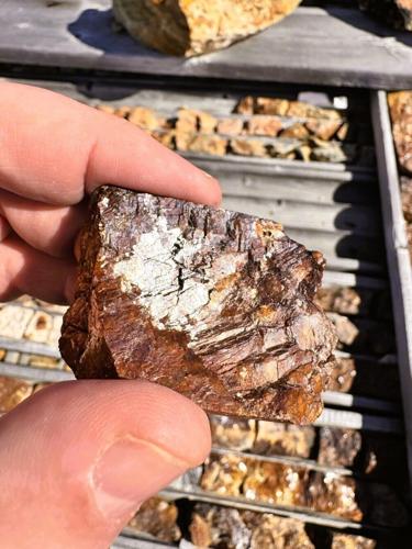 Nd‑Pr‑mineralized core sample: Nd Pr mineralized core sample from historic drilling at the Sarfartoq Project, stored at the on site camp alongside core from 161 drill holes totaling approximately 35,800 meters.