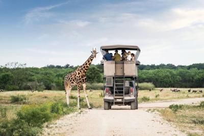 Champion Ranch Deepens Its Commitment to Conservation Through Heart of a Champion