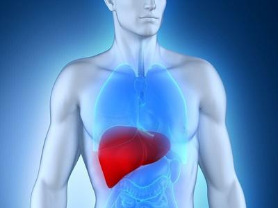 No comer carne aunque sea en una de las comidas ayuda a los pacientes con enfermedades hepáticas