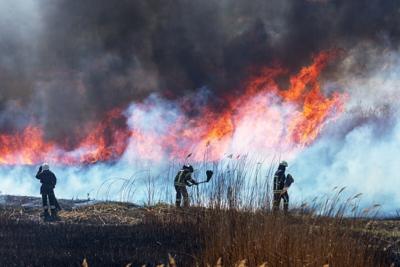 Los incendios forestales están ganando velocidad en el oeste de EE. UU., aumentando la amenaza para las personas