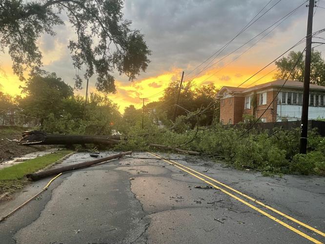 Highland trees down