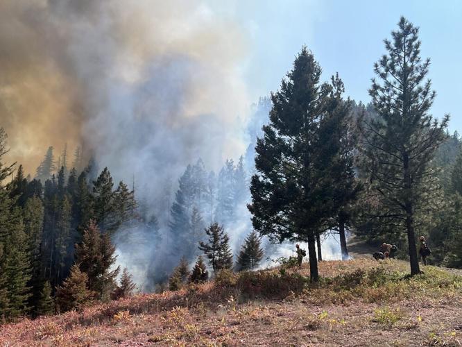 Elder Fire