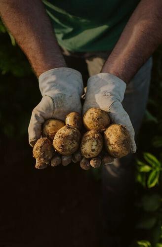 In 2025, PepsiCo also delivered 79 billion portions of diverse ingredients, including whole grains, plant-based proteins, fruits and vegetables.