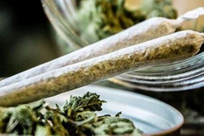 Florida no aprueba una enmienda que legaliza la marihuana recreativa