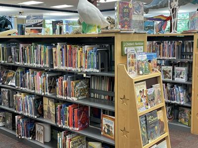 Bozeman Library Kicks Off Free Summer Programming For Kids And Adults