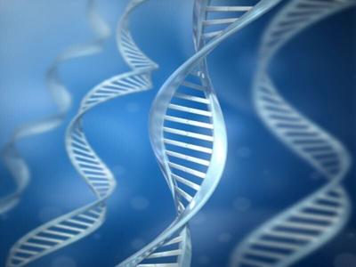 Primeros indicios de una cura con  terapia génica para el herpes