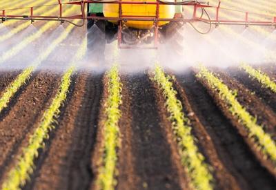 Los pesticidas pueden equivaler a fumar en el riesgo de desarrolalr cáncer