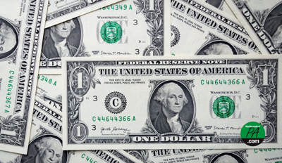dollar bills ncpa - 1