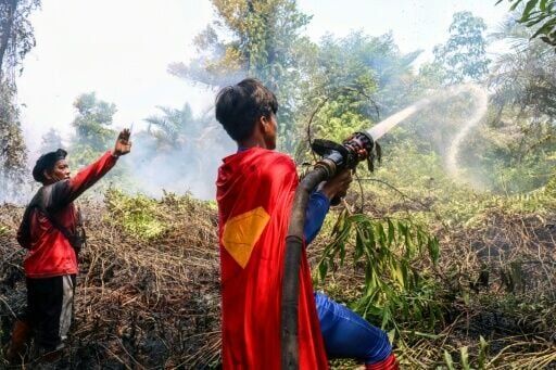 Indonesian student Rudiansyah's striking costume has drawn attention to the country's struggle to contain devastating wildfires