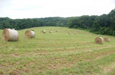 702705_6_.jpg