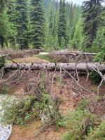 Missoula Lake will not be accessible for July 4, national forest says