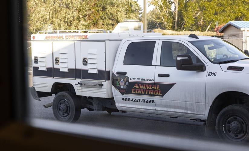 Yellowstone Valley Animal Shelter on Monad