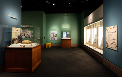 Smithsonian National Museum of Natural History's “From These Lands: Sharing Our Natural and Cultural Heritage”