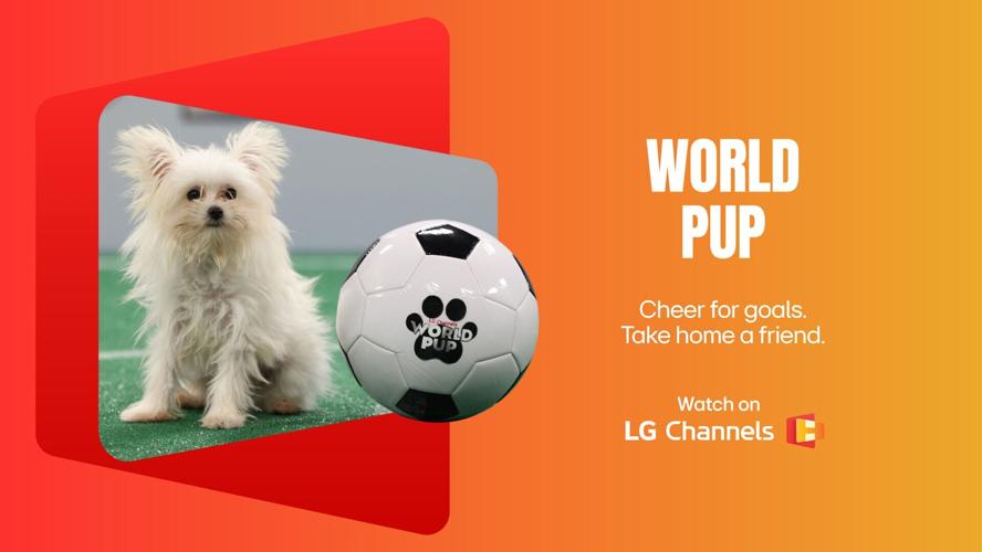 Since its launch in 2015, LG Channels has focused on delivering content tailored to the preferences of each market.