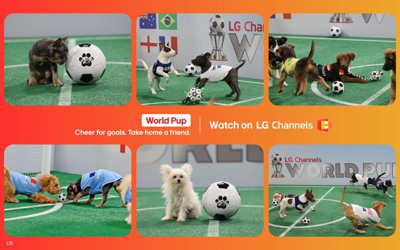 It also launched LG Channels World Pup, a tournament-style puppy soccer competition produced by Bright Spot Content (All3Media America), featuring adoptable rescue dogs from multiple shelters.
