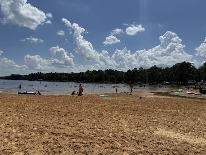 Cypress Lake 2.JPEG