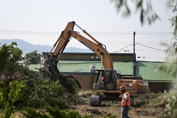 Tree Removal