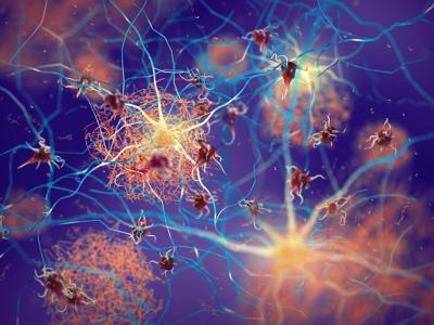 Científicos descubren el sistema de eliminación de desechos del cerebro, con pistas sobre la enfermedad de Alzheimer