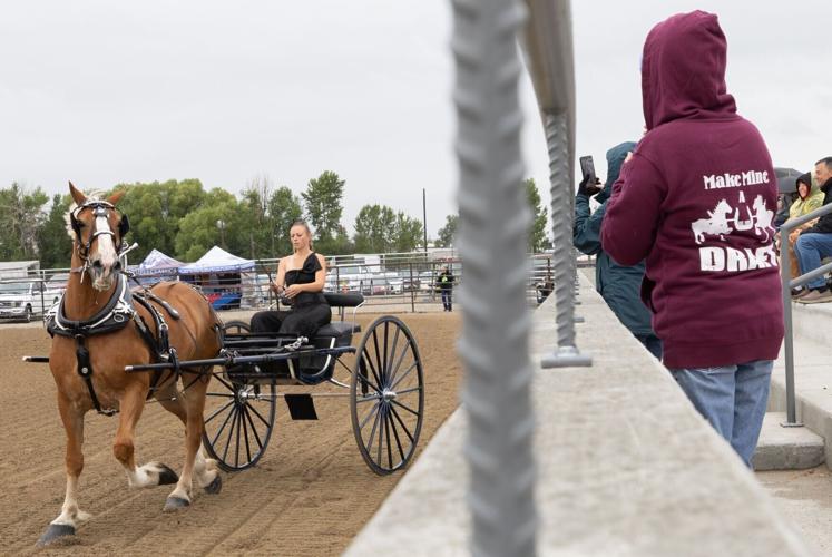 31st annual Big Sky Draft Horse Expo in Deer Lodge