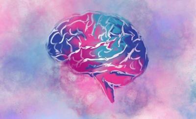 El volumen cerebral y la salud se vinculan con el nivel socioeconómico