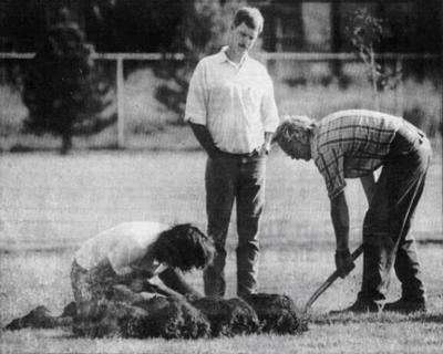 Rest Home Rapes and Homicides Part 2: The Death of Bertha Scott