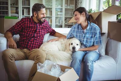 Moving with Pets: Overcoming the Stress of Planning a Pet-Friendly Journey - image