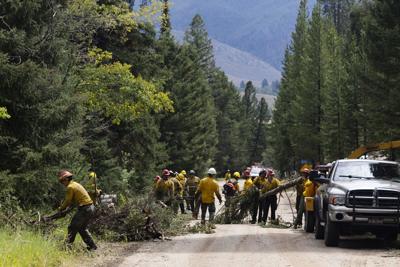 Fire damage from the Sand Creek fire at Maverick Mountain