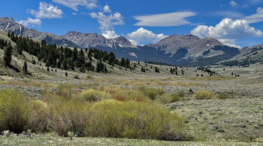 RED CONGLOMERATE PEAKS FRO SAWMILL ROAD - RICK & SUSIE GRATEZ.jpg