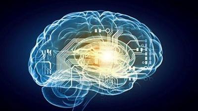 Algunas células cerebrales cambian con la edad, otras no, según un estudio