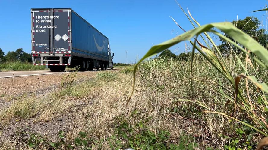Shreveport high grass
