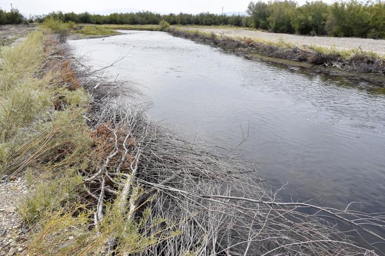 Clark Fork tour