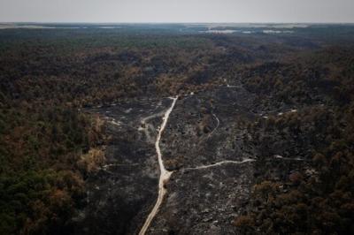 One area of Fontainebleau forest was to remain off-limits as firefighters put out hotspots