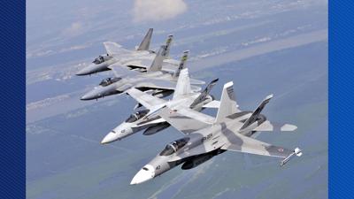 hornets & eagles