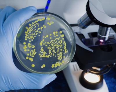 Una bacteria estreptocócica mortal se está propagando en Japón