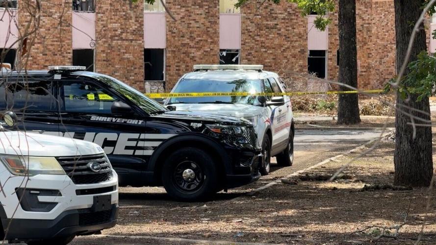 Pines Apartment shooting scene