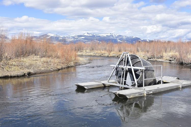 Fish trap