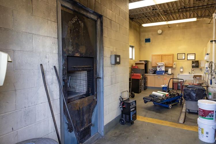 Yellowstone Valley Animal Shelter on Monad
